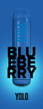 Blueberry Flavour Rechargeable Disposable Vape
