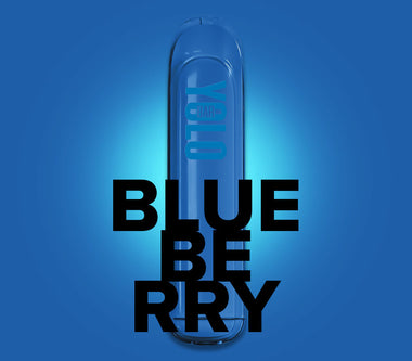 Blueberry Flavour Rechargeable Disposable Vape