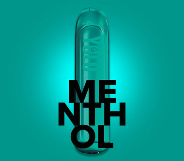 Menthol Flavour Rechargeable Disposable Vape